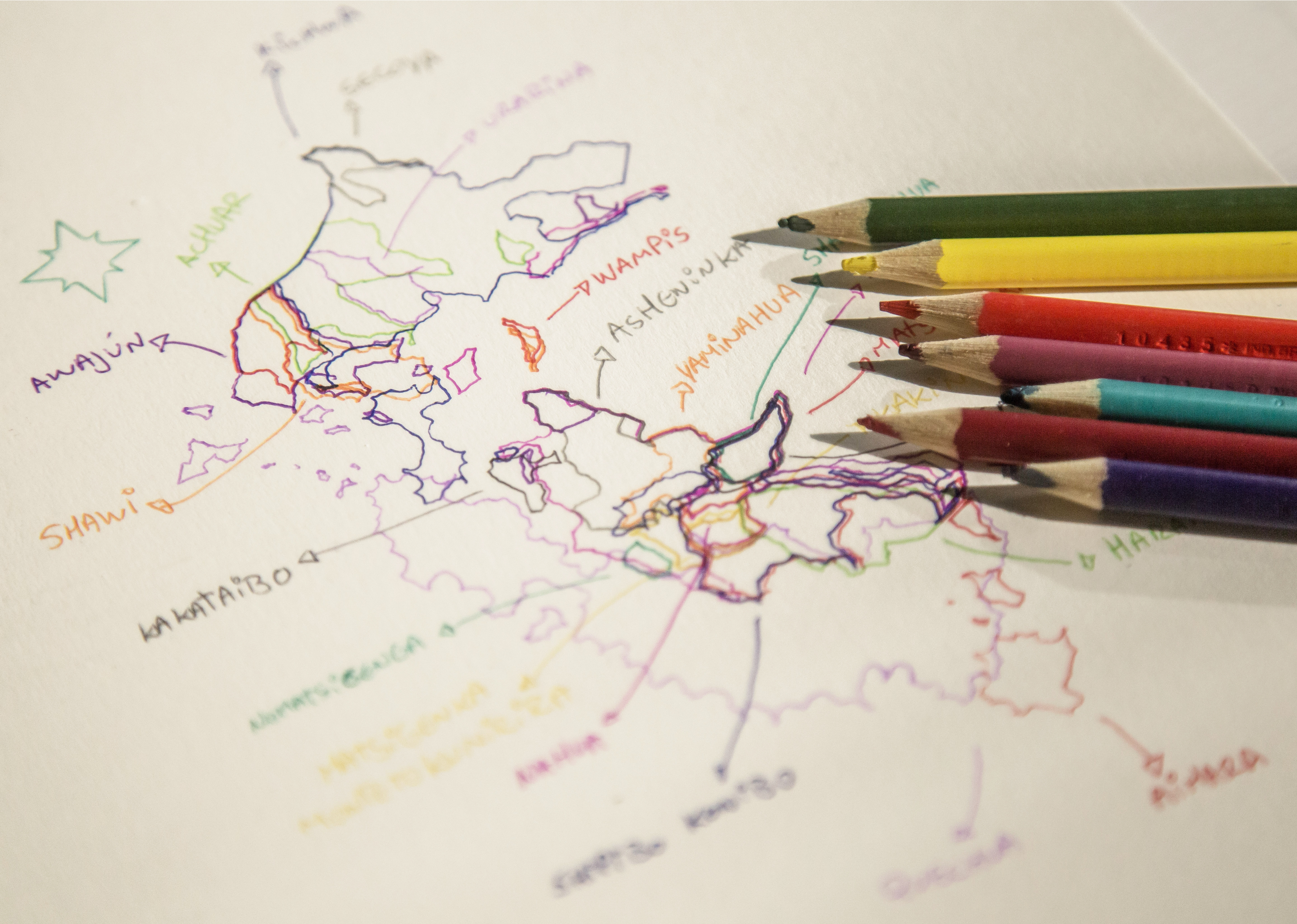 Carte ethnolinguistique du Pérou, 2024