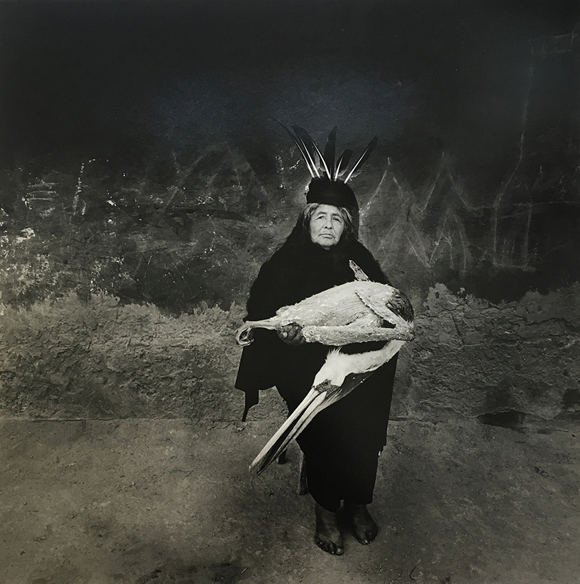 Mujer con pelicano, 1993