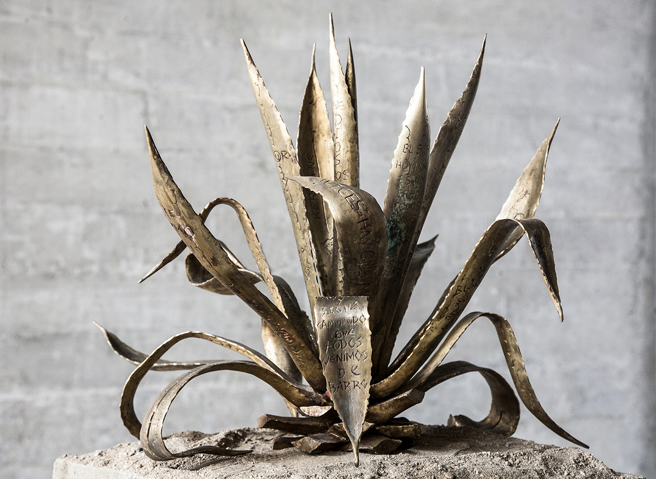 Agave #1, 2015